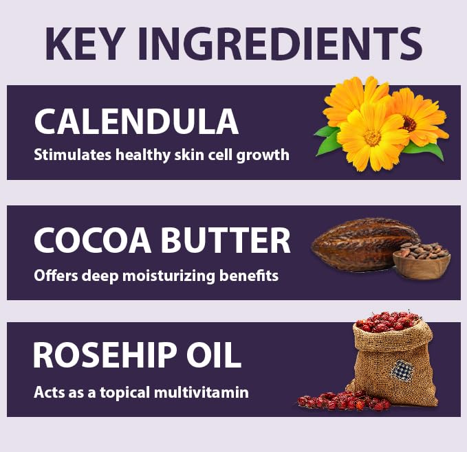 All Good Hand & Body Lotion - Moisturizing Organic Lotion for Dry Skin - Lavender Oil, Cocoa Butter, Rosehip Oil, Arnica, Vitamin E - Non-Greasy Body Butter, 6 fl oz (Lavender)