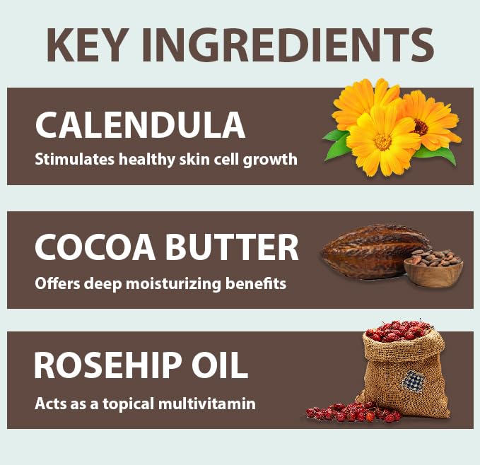 All Good Hand & Body Lotion - Moisturizing Organic Lotion for Dry Skin, Hands & Body - Essential Oils, Calendula, Cocoa Butter - Non-Greasy Body Butter, 6 fl oz (Coconut)