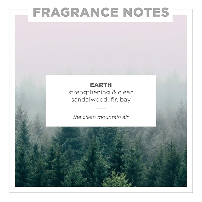 Zents Hand & Body Wash (Earth Fragrance) | Hydrating Anti-Aging Cleanser with Organic Shea Butter & Aloe for Dry Skin | Gentle & Nourishing | 10 fl oz