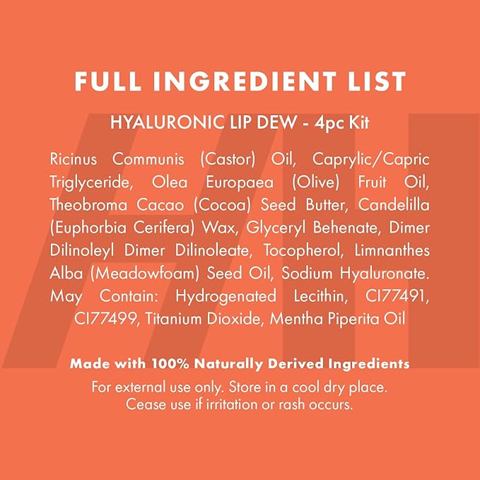 Handmade Heroes 100% Natural Vegan Tinted Lip Gloss with Hyaluronic Acid - Lightweight Moisturizing Soft Lipstick for Dry Lips Christmas Gifts - 4pc set Stocking Stuffers