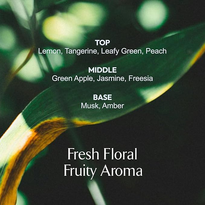 LA MUSE Homme Daily All-in-One Face Moisturizer for Men | 3-in-1 Toner, Lotion, Essence | Lightweight, Hydrating After-Shave Lotion for Oily & Sensitive Skin | Korean Skincare | Original Size